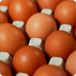 Eggs